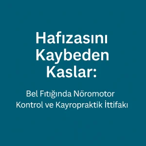 Bel fıtığında nöromotor kontrol ve kayropraktik tedavi yaklaşımını temsil eden minimalist bir tıbbi kapak görseli; ortasında bel bölgesi kırmızıyla vurgulanmış sade bir omurga çizimi yer alıyor.