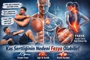 Fasya nedir? Kas sertliği neden geçmez ve esneme neden işe yaramaz sorularını açıklayan, miyofasyal sistemin hareket ve ağrı üzerindeki etkisini gösteren anatomik görsel