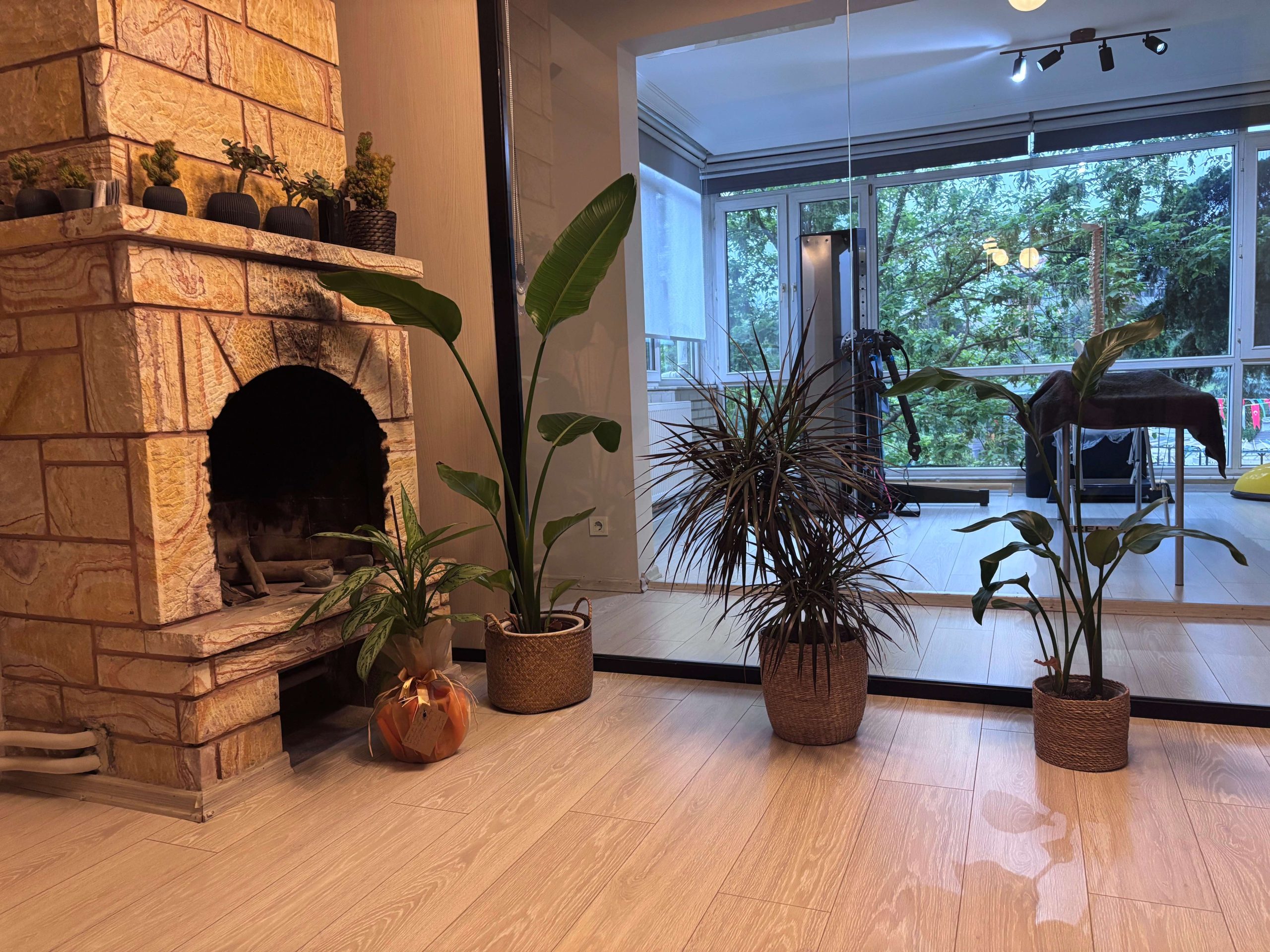 Boutique therapy lounge at Ulus Physiotherapy — calm, private manual therapy setting near Etiler, Istanbul.