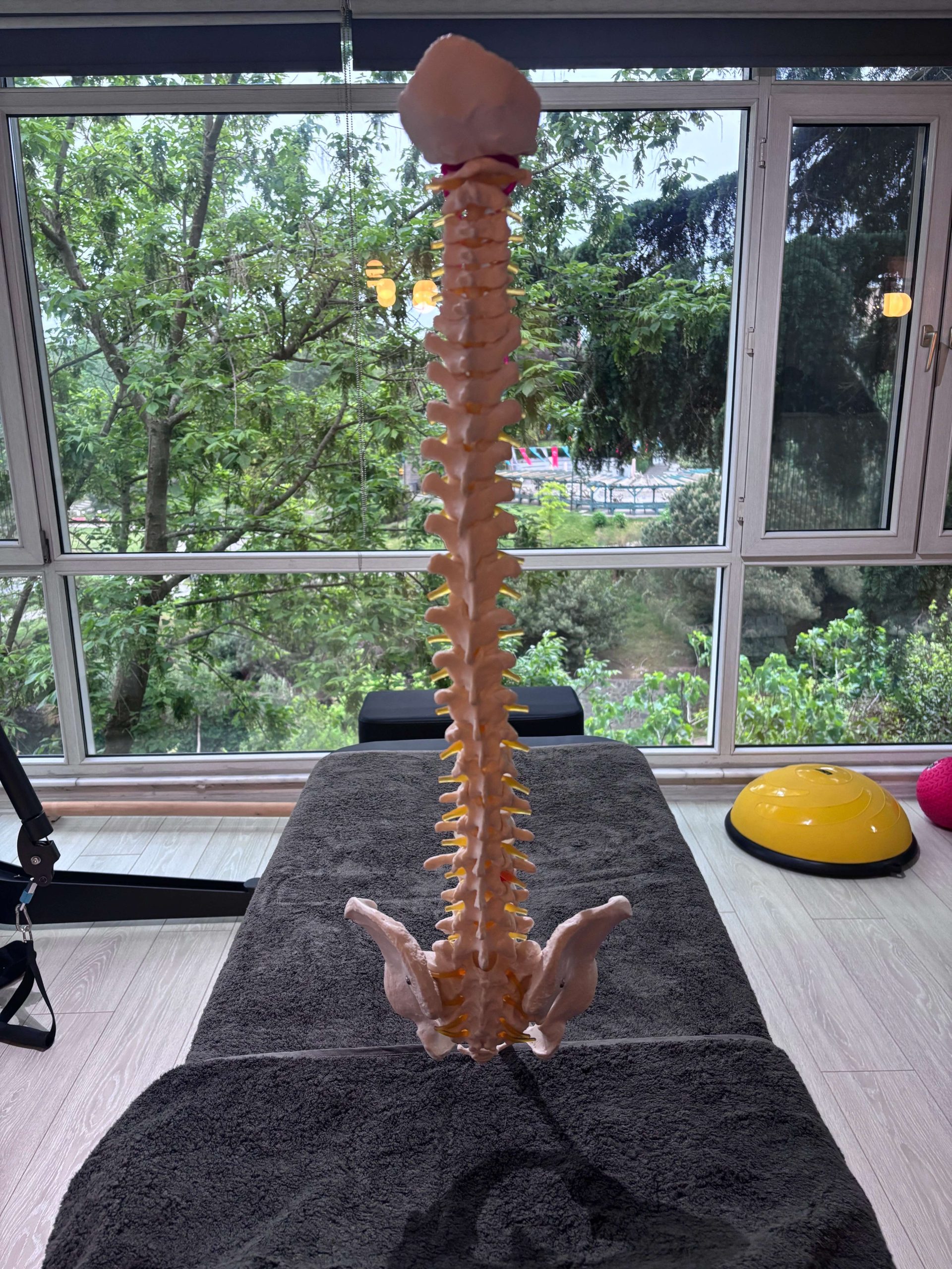 Ulus Fizyoterapi'de osteopati ve kraniosakral yaklaşım seansı — Etiler ve Akatlar'a yakın, Beşiktaş, İstanbul.